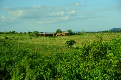 DSC_9713 (Large).JPG